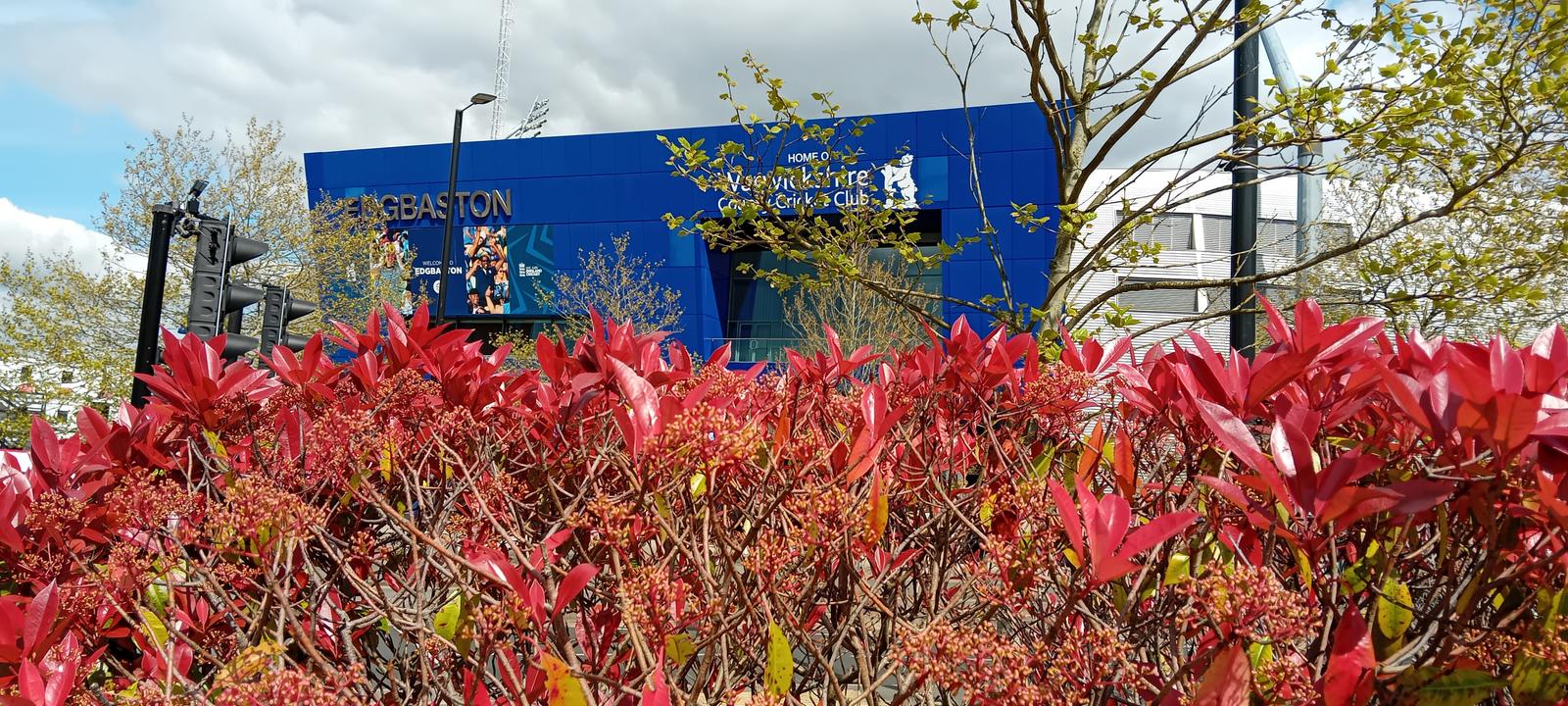 Edgbaston flowers